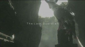 Project_Trico